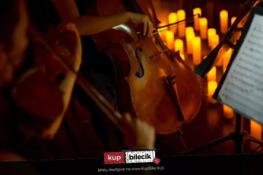 Ślęza Wydarzenie Koncert Koncert plenerowy wśród kwiatów i świec: Antonio Vivaldi- Cztery Pory Roku